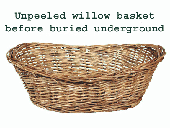 Unpeeled Willow